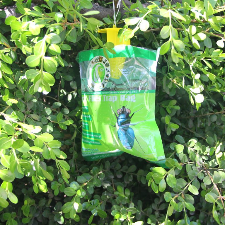 Big Fly Trap Bag | Haierc PCO