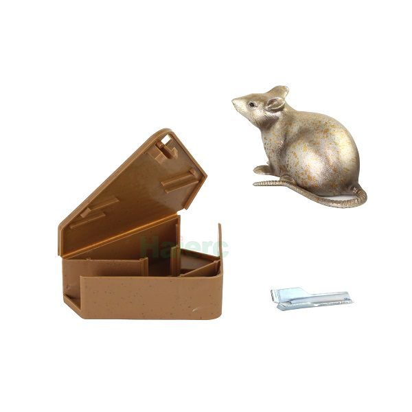 2026 Fly Glue Trap Roll Guide for B2B Pest Control Suppliers
