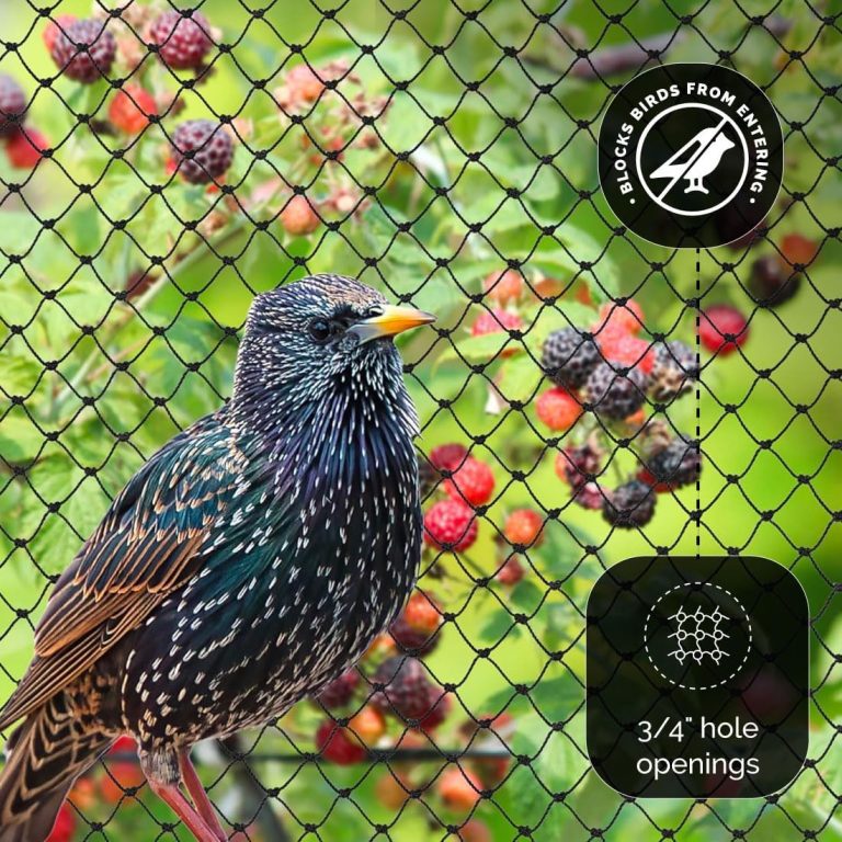 Plastic Bird Net Guide for AU Distributors 2026