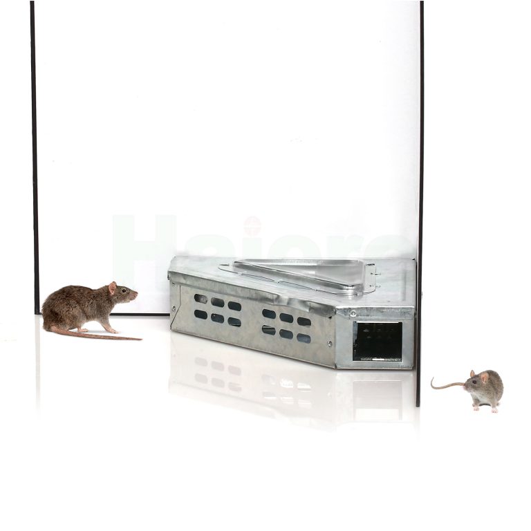 china kensizer rat trap customized | Haierc PCO
