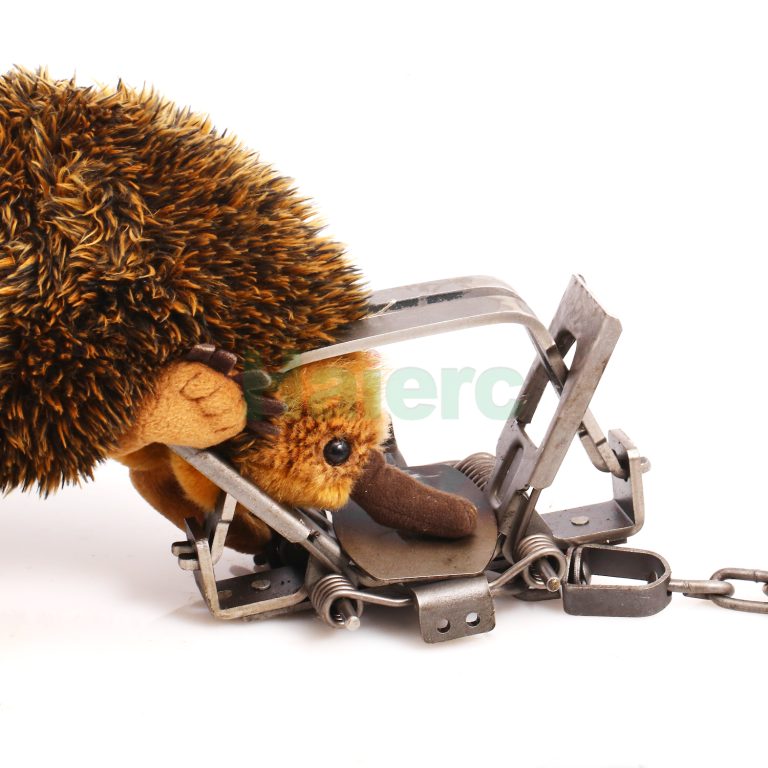 EasySet Mole Eliminator Trap: Your UK Buyer’s Guide 2026