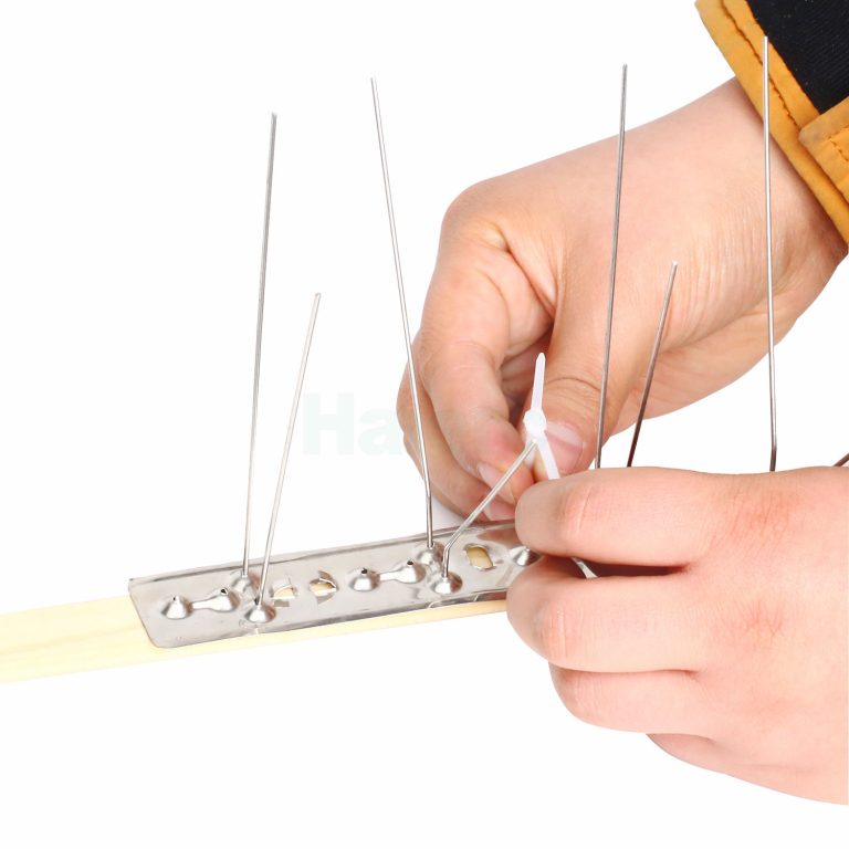 Bird Spikes in 2026: Your Guide to FSMA & Audit Compliance