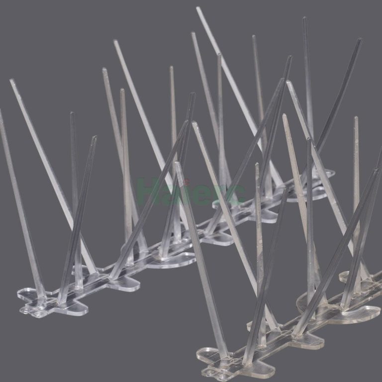 Bird Spikes for Australia 2026: A Wholesaler Sourcing Guide