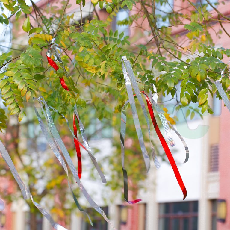 Bird Scare Tape & Physical Deterrent Systems: 2026 EU Market Guide