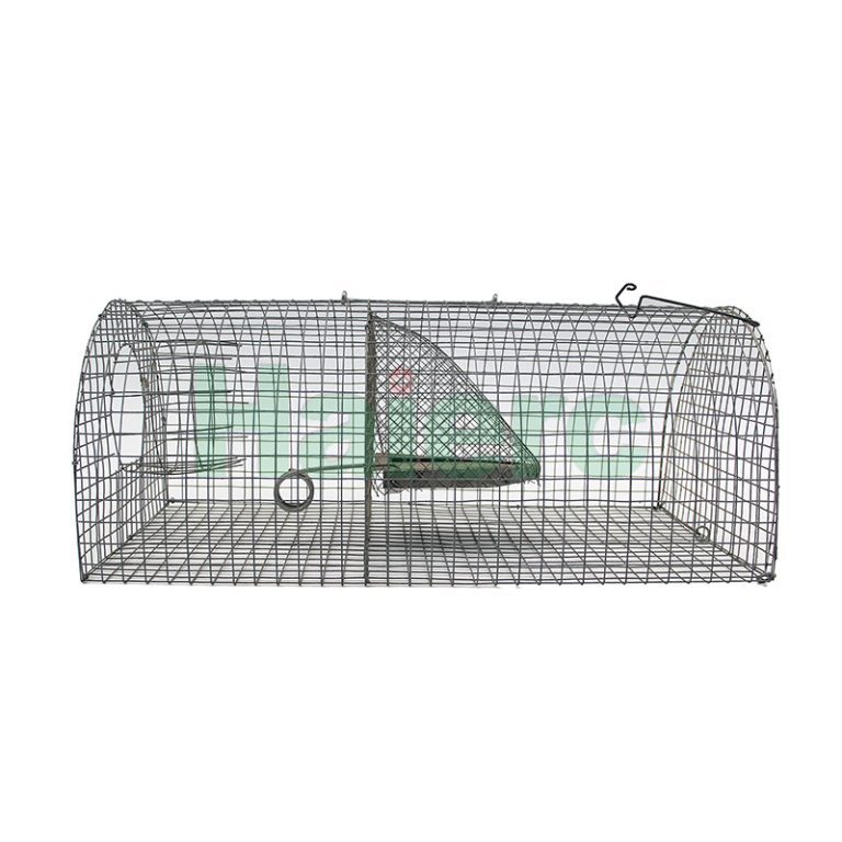 Foldable Wildlife Cage Traps for EU Professional Pest Management: 2026 Sourcing & Application Guide