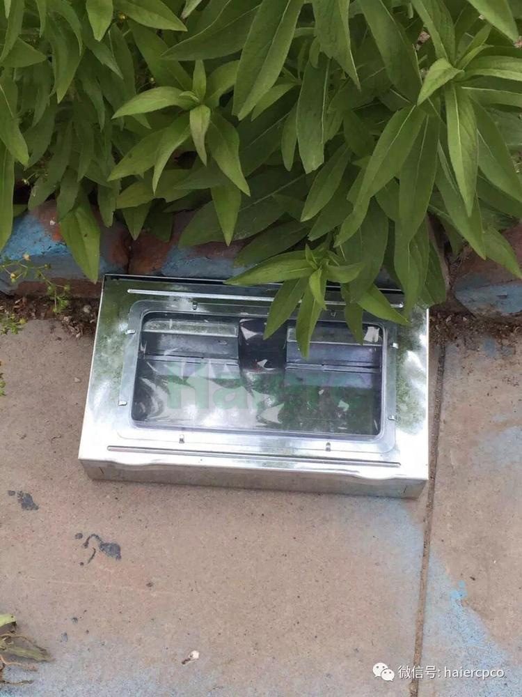 Multi Catch Rat Trap Guide for EU Importers (2026)